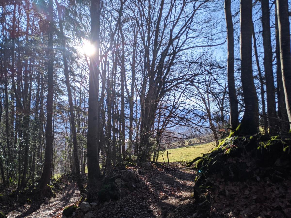 Saint Bernard du Touvet Appartement De Plain-Pied En Montagne Avec Vue Merveilleuse Sur Le Massif De Belledonne מראה חיצוני תמונה